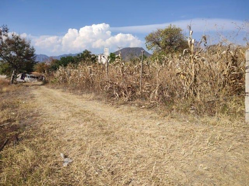 Campo Ahuilican, Ejido De Oaxtepec, Yautepec.