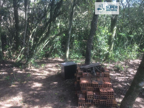 Chácara A Venda No Bairro Centro Em Capão Do Leão - Rs. - 1562-1