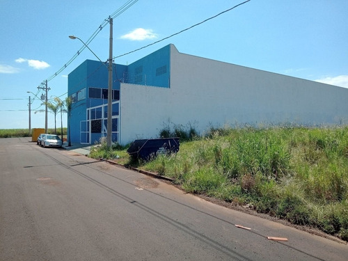 Imagem 1 de 10 de Terreno - Te00241 - 69321133