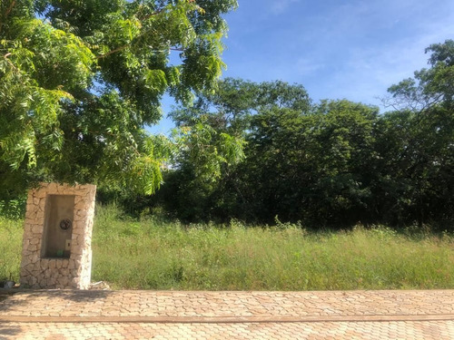 Imagen 7 de 28 de Terrenos En Venta En Mérida, Privada Temozón Casa, Temozón N