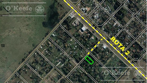 Imagen 13 de 20 de Quinta En Venta En Abasto 4180 Mts. Con Muy Buena Forestación