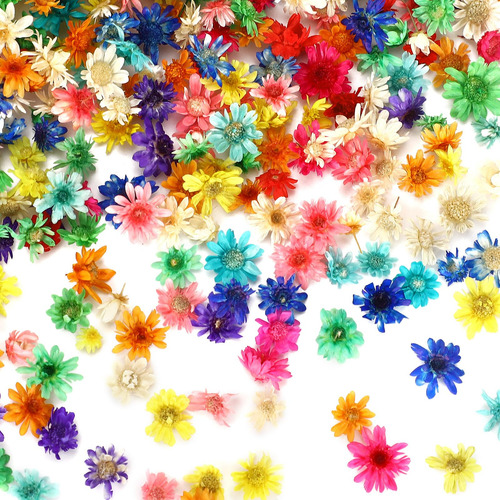 Flores Secas Pequeñas 420 Piezas Para Manualidades Y Uñas