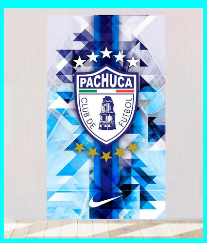 Cuadro Decorativo Club Pachuca 29x50 Cm Escudo Equipo Tuzos