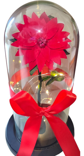 Flor Navidad - Poinsettia Preservada 100% Natural + Luz Led