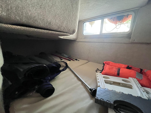 Daycruiser Wellcraft Excel 23 Se