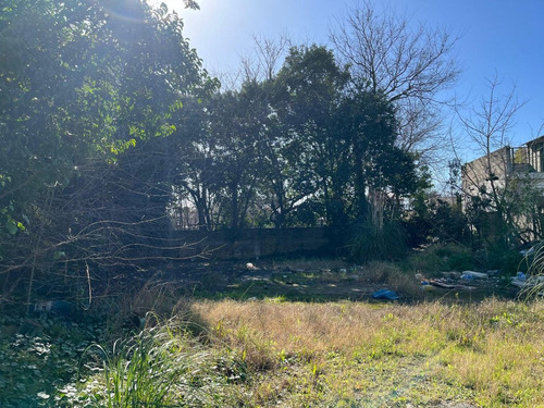 Venta Terreno 26x60 M2 Luis Guillon