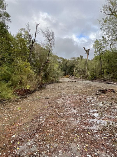 Sitios En Orillas Del Huillinco, Castro (3 Sitios)