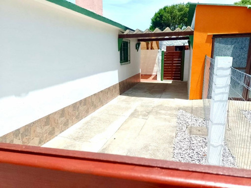 Orejano En La Paloma