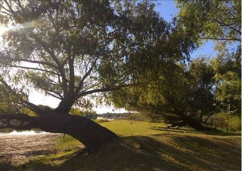 Imagen 6 de 14 de Campo En Gualeguaychú 23,5 Ha Con Playa Natural