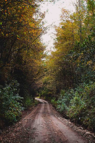 Rebajadas, Exclusivas Parcelas A 5km De Cunco