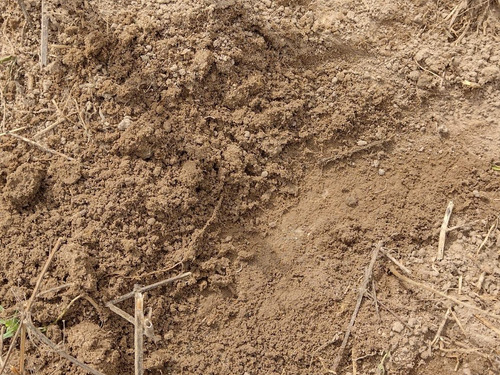 Imagem 8 de 13 de Chácara 1,5 Alqueires Não Tem Casa Só Terra,400mts Do Asfalto,localização Nobre,agua Cristalina Nascente,27 Kms Do Centro De Itapetininga - Ch00082 - 69505785