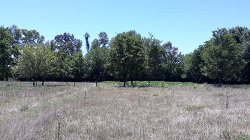 Imagen 5 de 5 de Lote De 2 Hectareas
