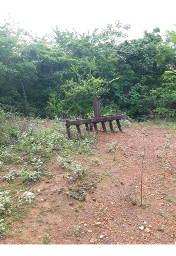 En Venta Finca En San Carlos Cojedes Asesor Carlos Daniel