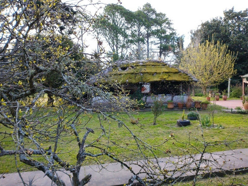 Casa Quinta En Venta En Punta Indio - 6.000 Metros Cuadrados