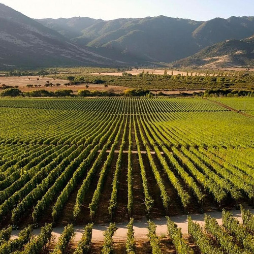 Imagem 3 de 3 de Vinho Montes Reserva Malbec Tinto Chile 750 Ml