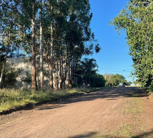 Imagen 8 de 17 de Terreno De 750 M2 Zona Termas Colón