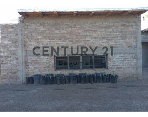 Imagen 3 de 9 de Finca En Venta - Lavalle - Mendoza Id: 46538