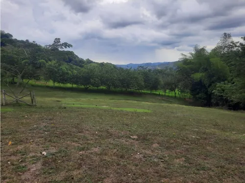 Venta Finca La Tebaida Cultivada En Pasto - 40 Cuadras