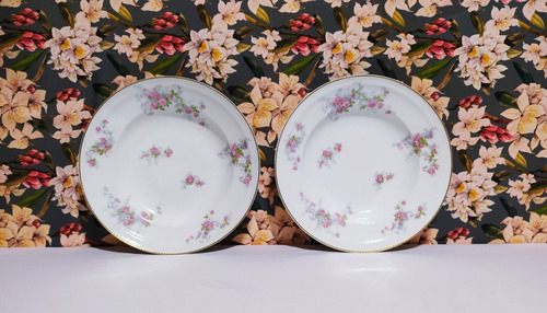 Juego De 2 Platos Hondos De Porcelana Limoges Frank Haviland