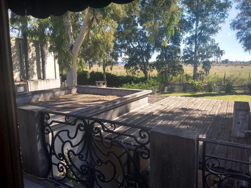 Imagen 5 de 20 de Venta Casa Estilo Campo 5 Amb. Con Renta Bº El Encuentro - Tigre