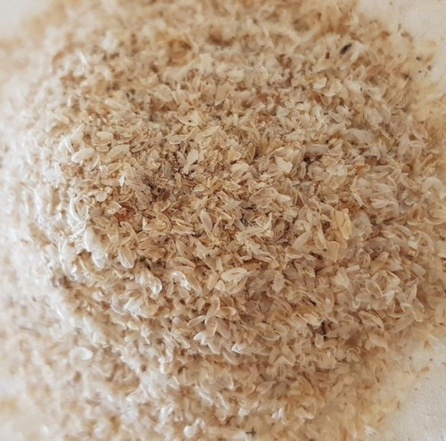 Magmagen - Psyllium Husk Organico 200 Grs