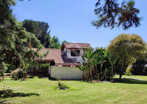 Parcela Con Casa 3d 2b Piscina Terraza Arriendo En Talagante