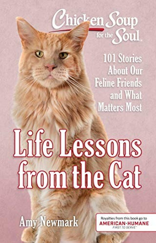 Chicken Soup For The Soul Life Lessons From The Cat 101 Stor