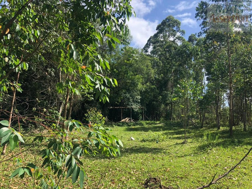 Imagem 5 de 15 de Chácara Para Venda Em Parobé - Cwvcr041_2-1122322