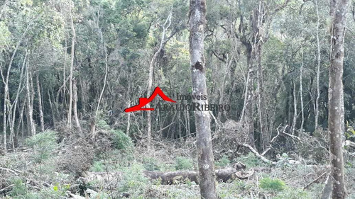 Imagem 13 de 29 de Terreno, Vila Porã, Campos Do Jordão - R$ 180 Mil, Cod: 60567 - V60567