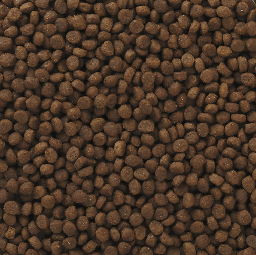 Alimento Premium Mejor Q Nupec Croquetas Cachorro Adulto 23k