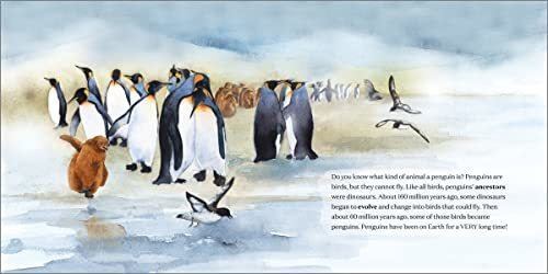 All About Penguins Discover Life On Land And In The Sea, De Denapoli, Dyan. Editorial Rockridge Press, Tapa Dura En Inglés, 2022