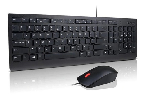 Kit Teclado Y Mouse Lenovo Essential Usb Diginet