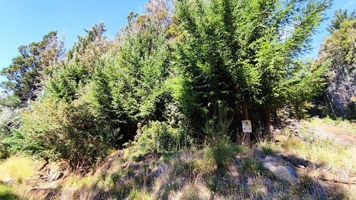 Imagen 3 de 5 de Terreno - Bariloche