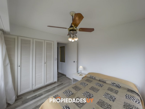 Imagen 12 de 22 de Apartamento De Dos Dormitorios Y Un Baño