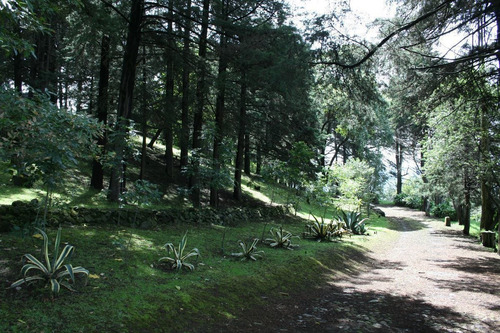 Imagen 29 de 30 de Espectacular Colina En Terreno En Venta
