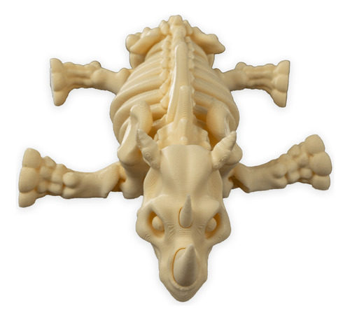 Brinquedo Esqueleto Animal Ósseo Articulado Diversos Animais