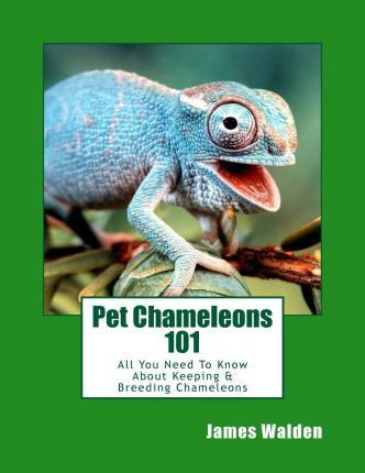 Libro Pet Chameleons 101 : All You Need To Know About Kee...