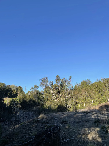 Terreno De 5000m2 Con Bosque Nativo