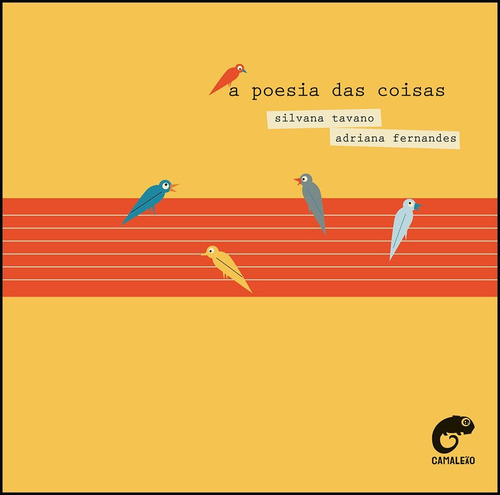 A Poesia Das Coisas Por Silvana Tavano