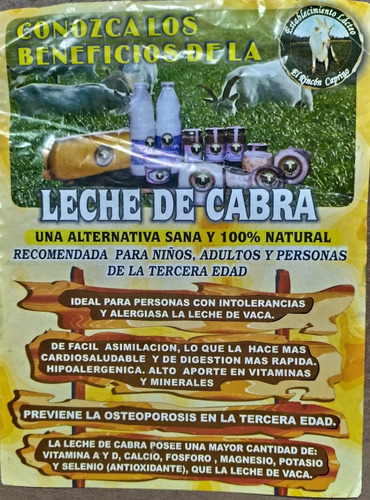Leche De Cabra Larga Vida El Rincón Caprino ×10 Litros