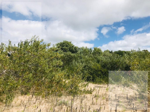 Imagen 2 de 30 de Costa Esmeralda Lote En Venta Senderos Iv Oportunidad