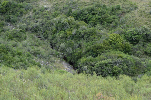 Imagen 10 de 21 de Venta Chacra Sierra Ruta 39 Aigua Sierra De Los Caracoles Maldonado
