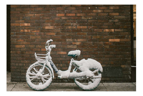 Vinilo 60x90cm Bicicleta Transporte Invierno Winter Ice P1
