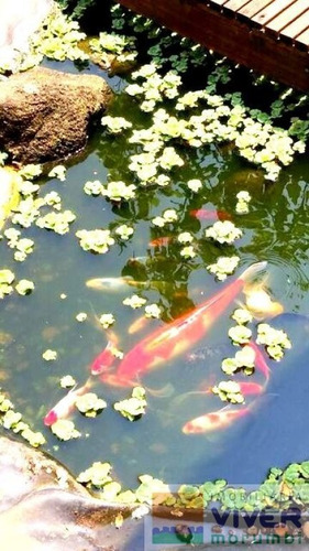 Imagem 7 de 15 de Giardino Super Charmoso Em Condomínio Fechado - Nm3607