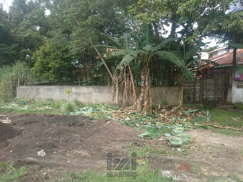 Imagem 13 de 15 de Terreno Próximo A Rodovia - 4375ip-1