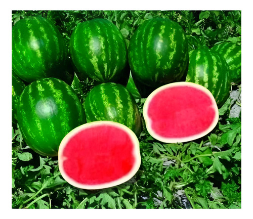 50 Semillas De Sandia Roja Sin Semilla