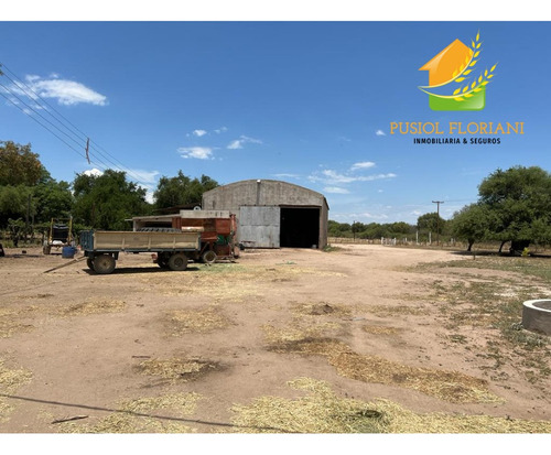 Campo Ganadero En Cruz Del Eje 