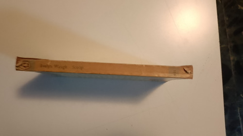 Scoop - Evelyn Vaugh (Usado)