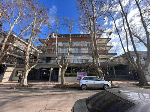 Imagen 17 de 30 de Departamento - Tigre