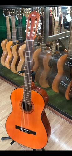 Guitarra De Estudio